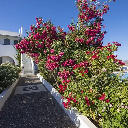 Thira's Dolphin Akrotírion