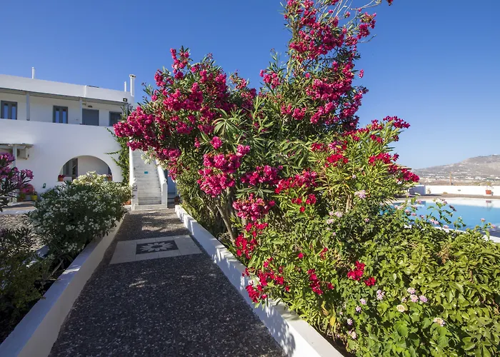 Thira's Dolphin Akrotiri (Santorini)