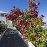 Thira's Dolphin Akrotírion